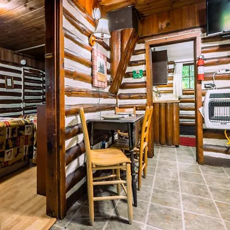 Log Cabin Motor Court Vila Asheville Exterior foto