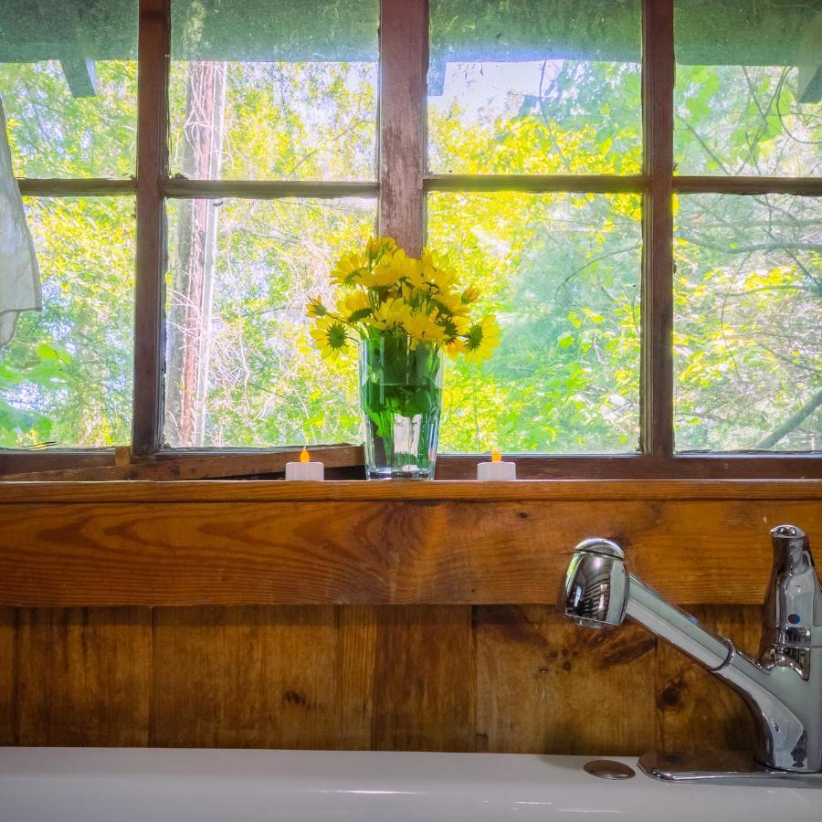 Log Motor Court Lodge Asheville