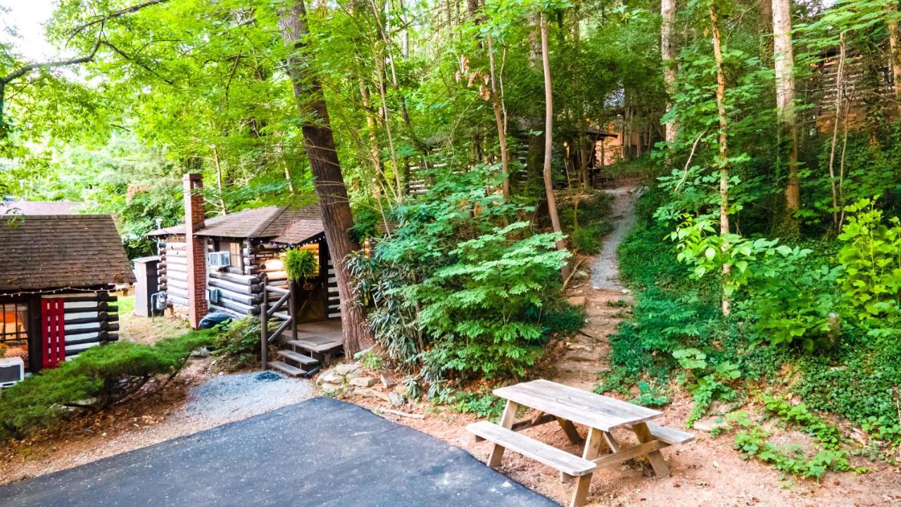 Log Motor Court